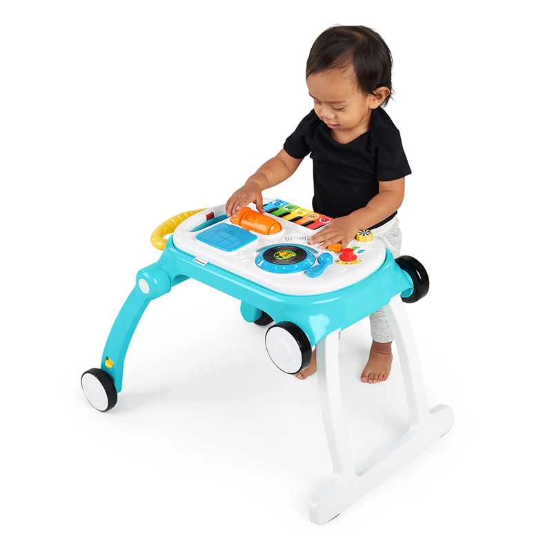 CAMINADOR MUSICAL MIX N ROLL 4-IN-1 ACTIVITY BABY EINSTEIN - 5