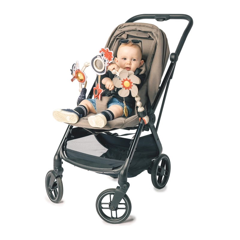 ARCO PARA COCHE TINY ROCKERS TINY LOVE - FF - 2