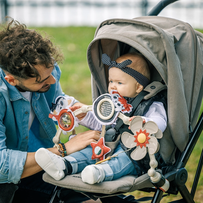 ARCO PARA COCHE TINY ROCKERS TINY LOVE - FF - 4