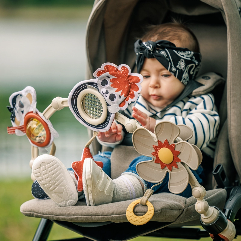 ARCO PARA COCHE TINY ROCKERS TINY LOVE - FF - 7