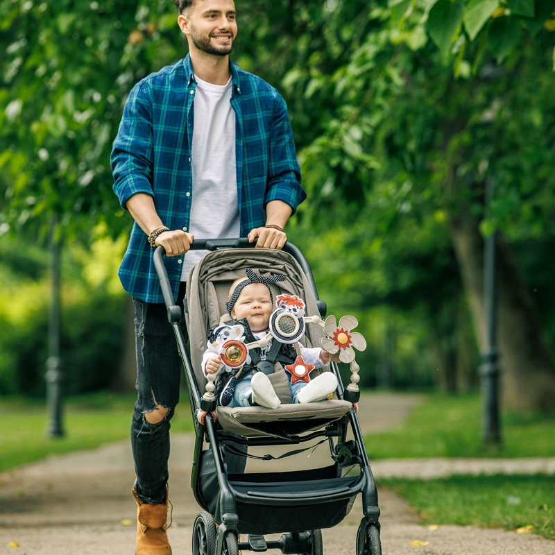ARCO PARA COCHE TINY ROCKERS TINY LOVE - FF - 8