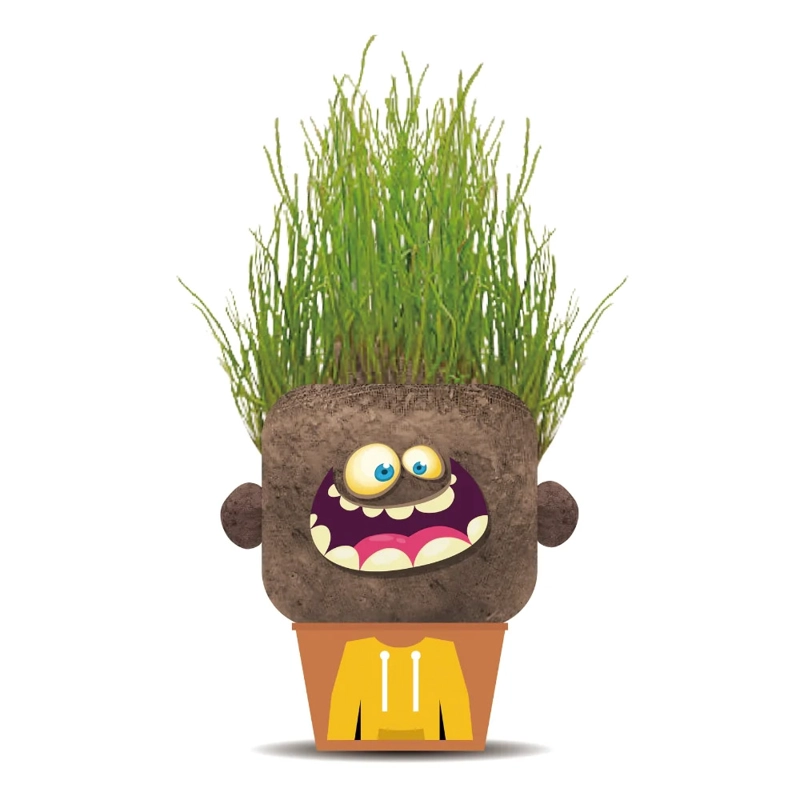 PLANT PALS - HAPPY HANK HAPE - 1