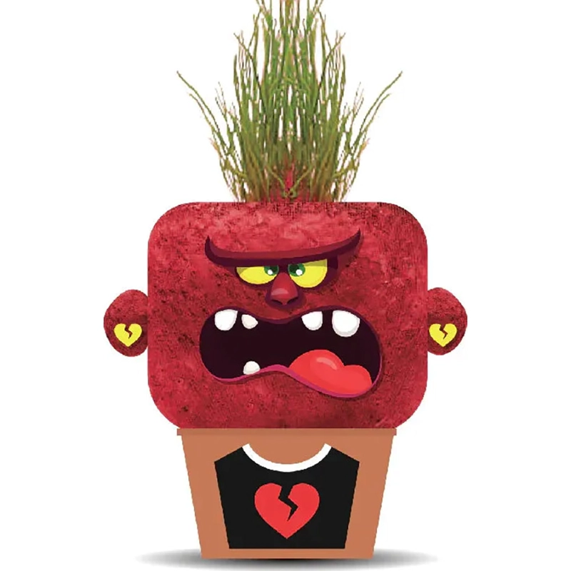PLANT PALS - ANGRY ANNIE HAPE - 1