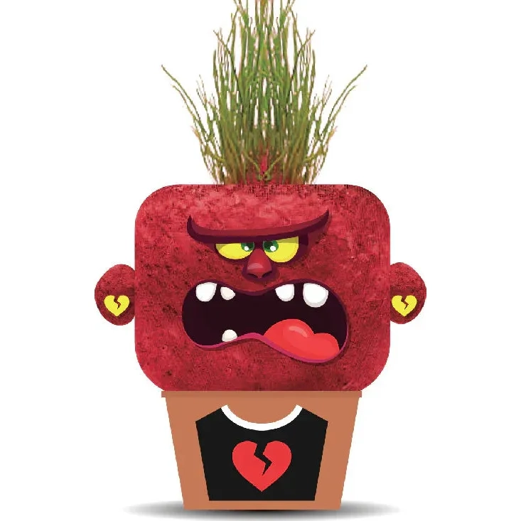 PLANT PALS - ANGRY ANNIE HAPE - 2