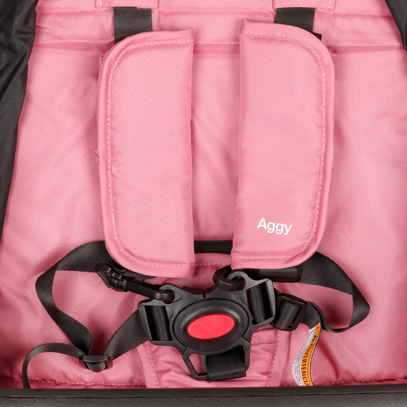 COCHE PASEO AGGY PINK COSCO - 5