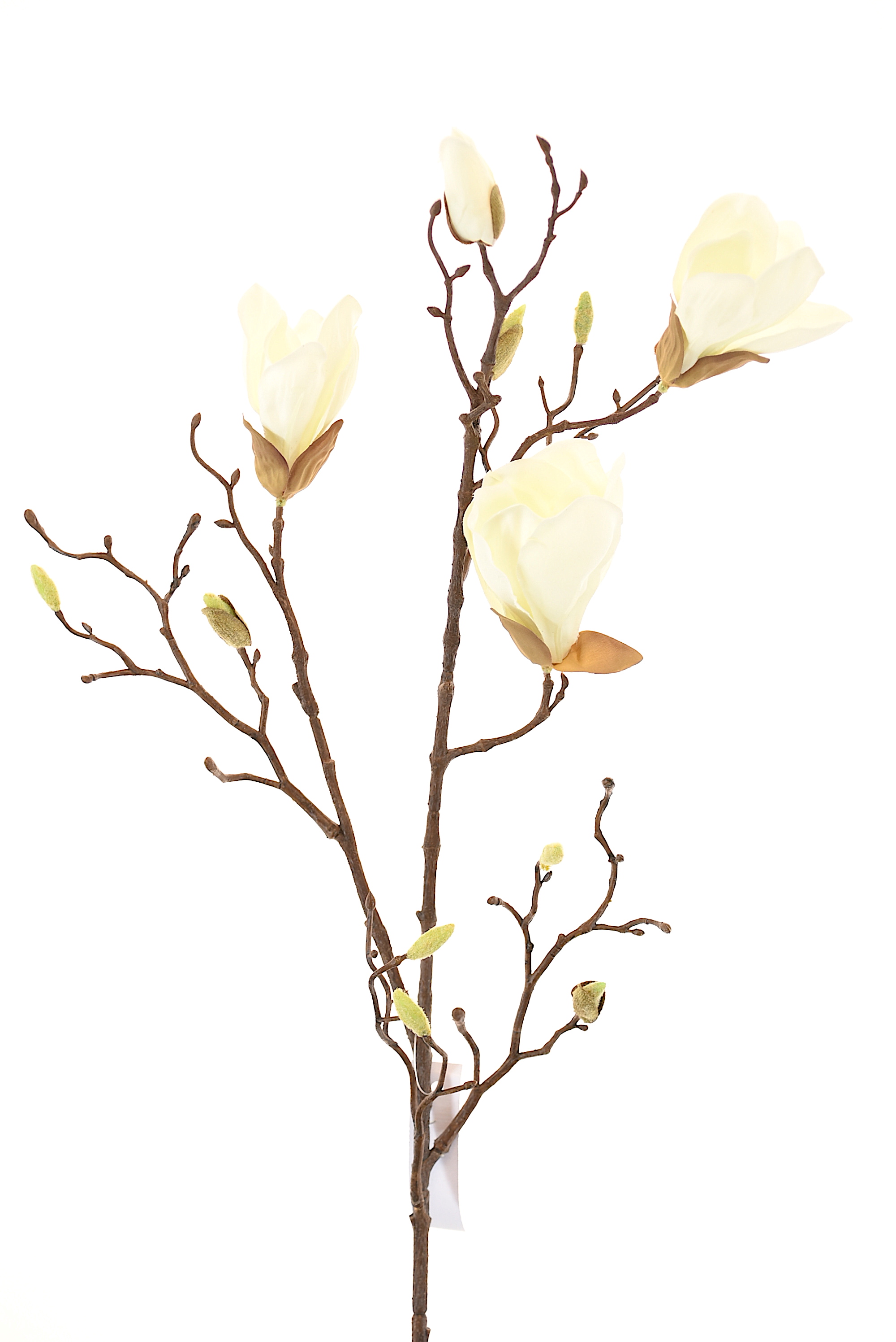 MAGNOLIO 85CM BLANCO - 1