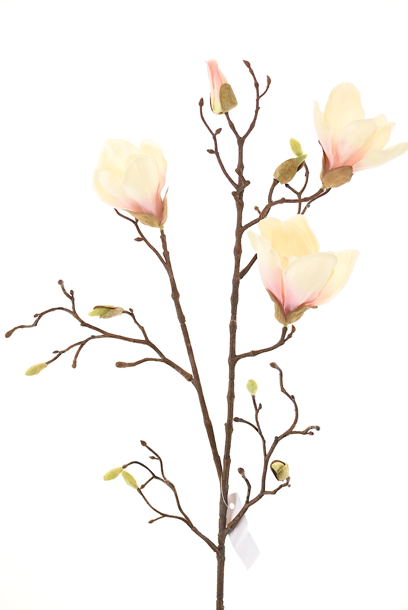 MAGNOLIO 85CM CRUDO