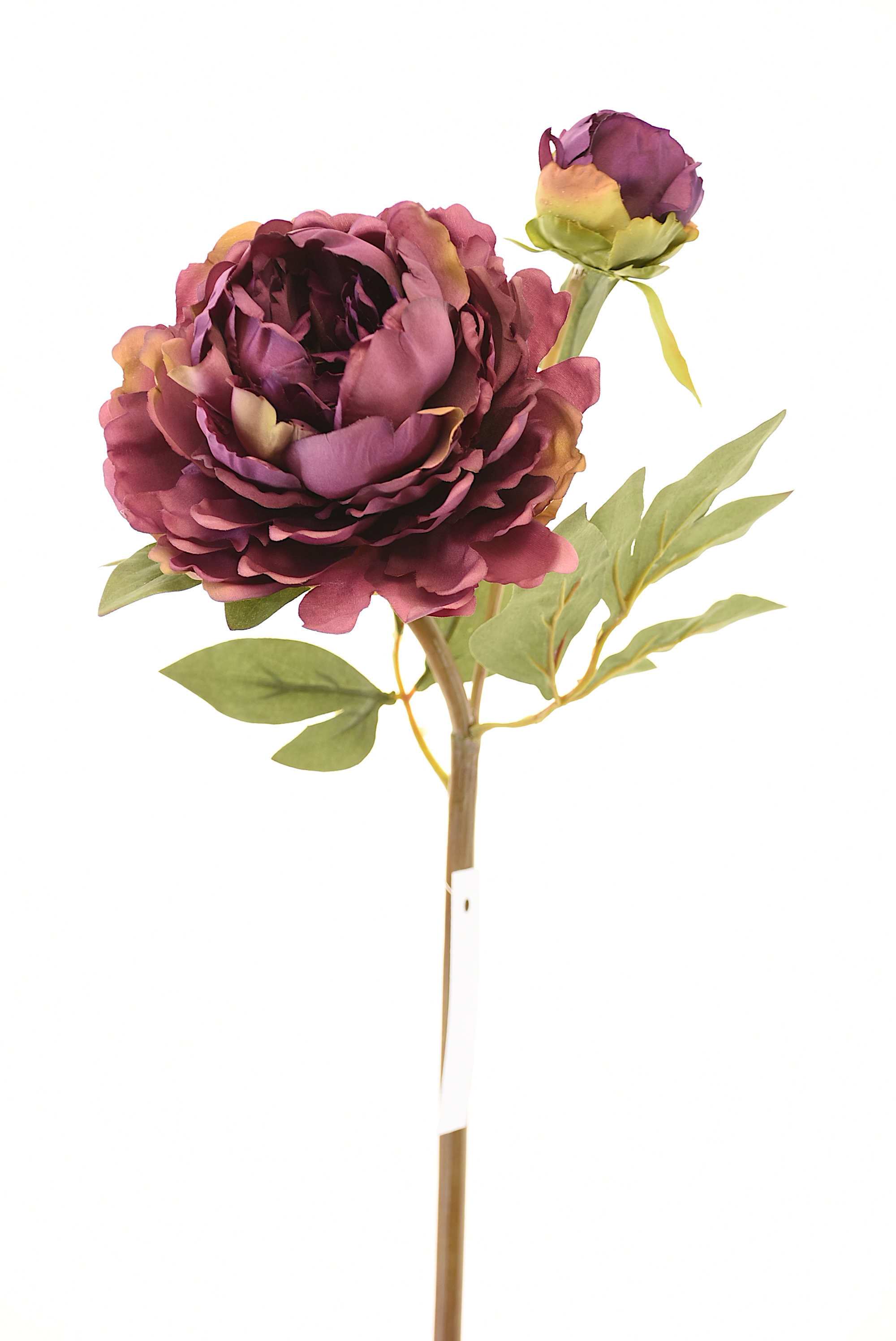 PEONIA 50CM MORADO - 1