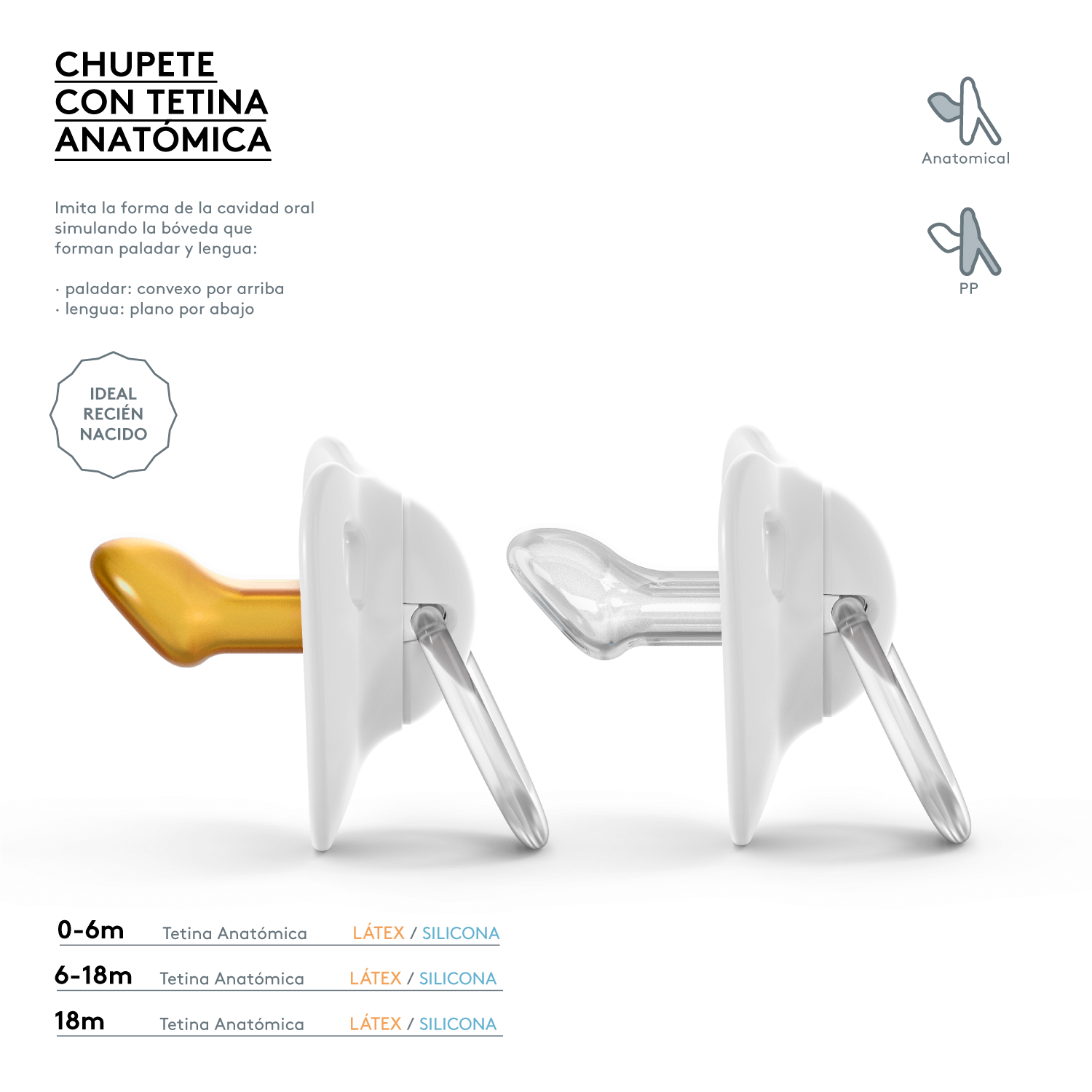CHUPETE ANATOMICO LATEX +18M 2 UNI PERROS VERDE - 4