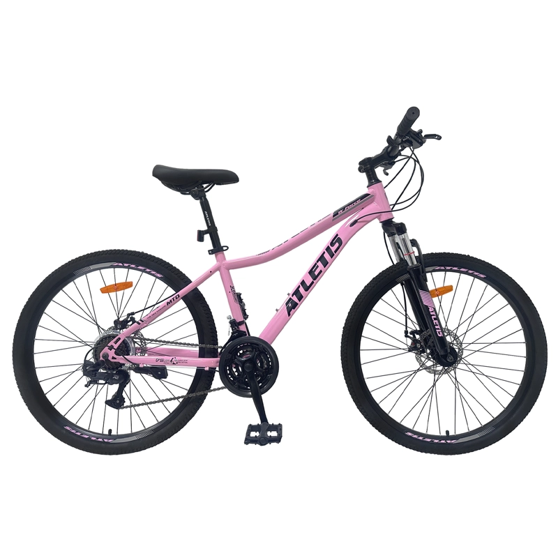 BICICLETA MOUNTAIN BIKE STELLA ARO 26 - 1