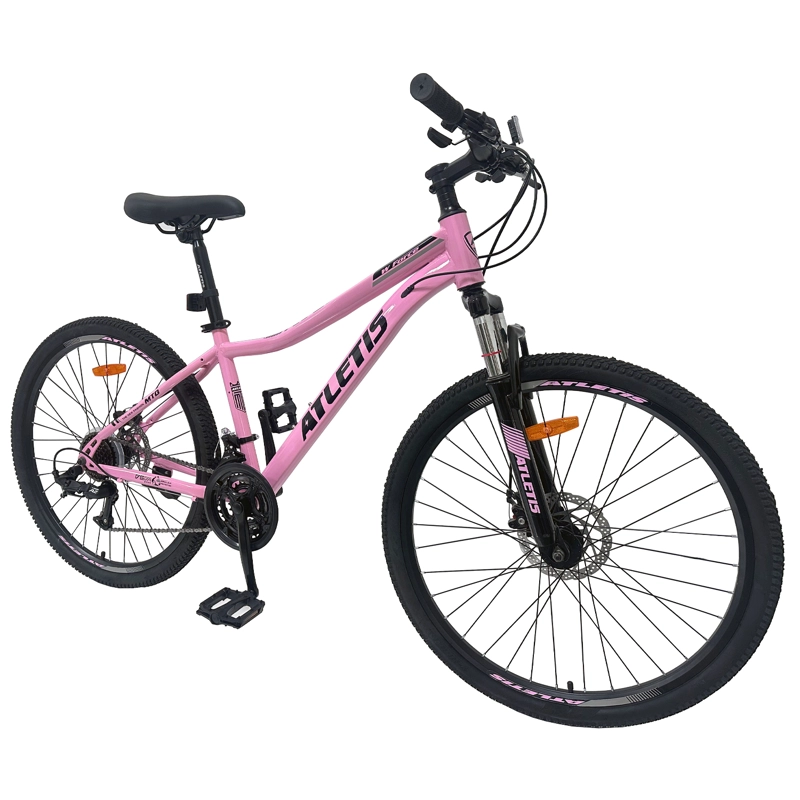 BICICLETA MOUNTAIN BIKE STELLA ARO 26 - 2