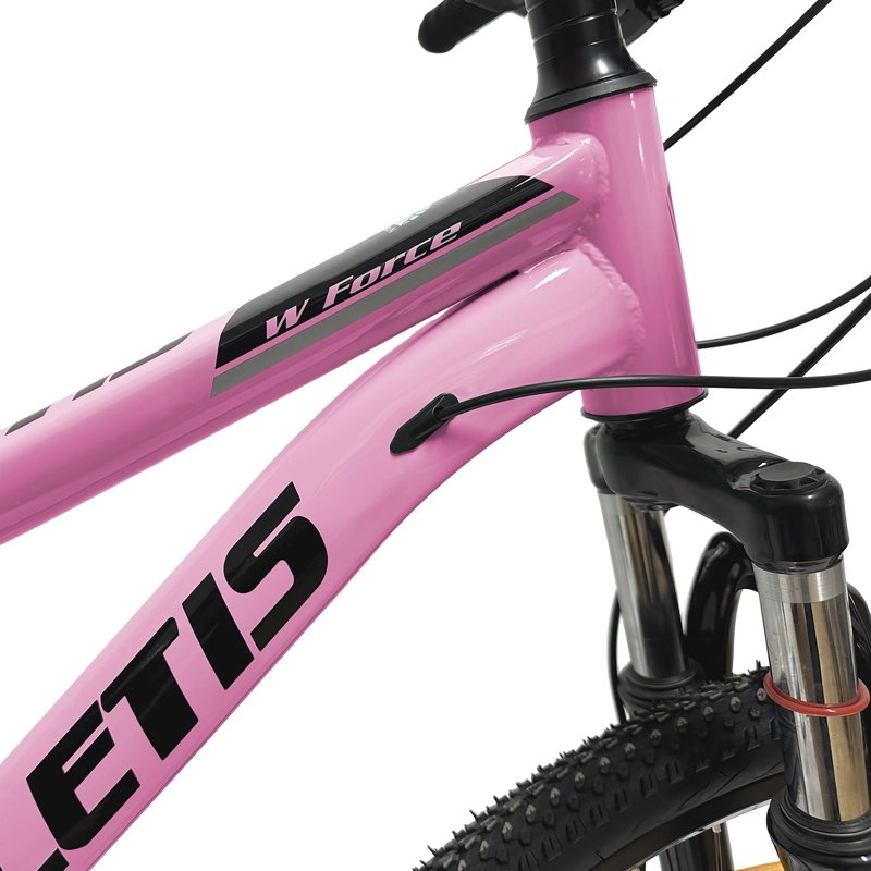 BICICLETA MOUNTAIN BIKE STELLA ARO 26 - 4
