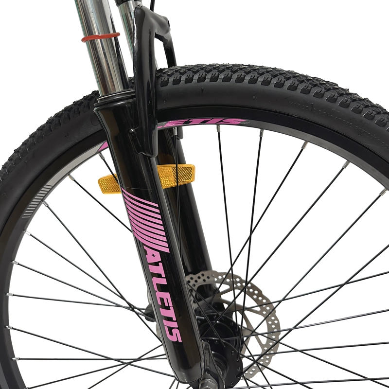 BICICLETA MOUNTAIN BIKE STELLA ARO 26 - 6