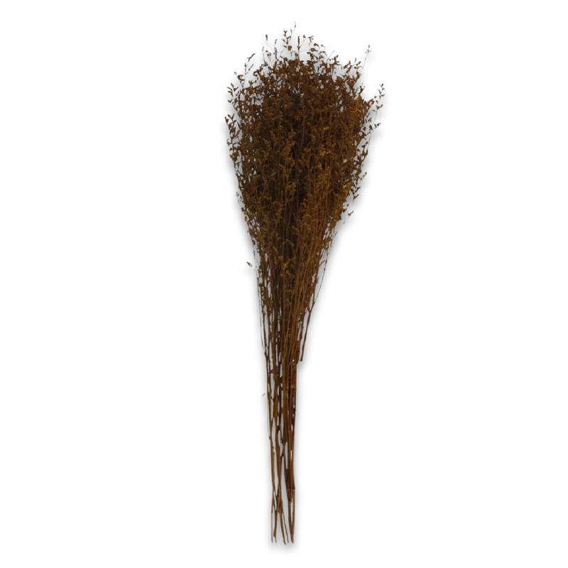 RAMA DECORATIVA NATURAL 70 CM - 1