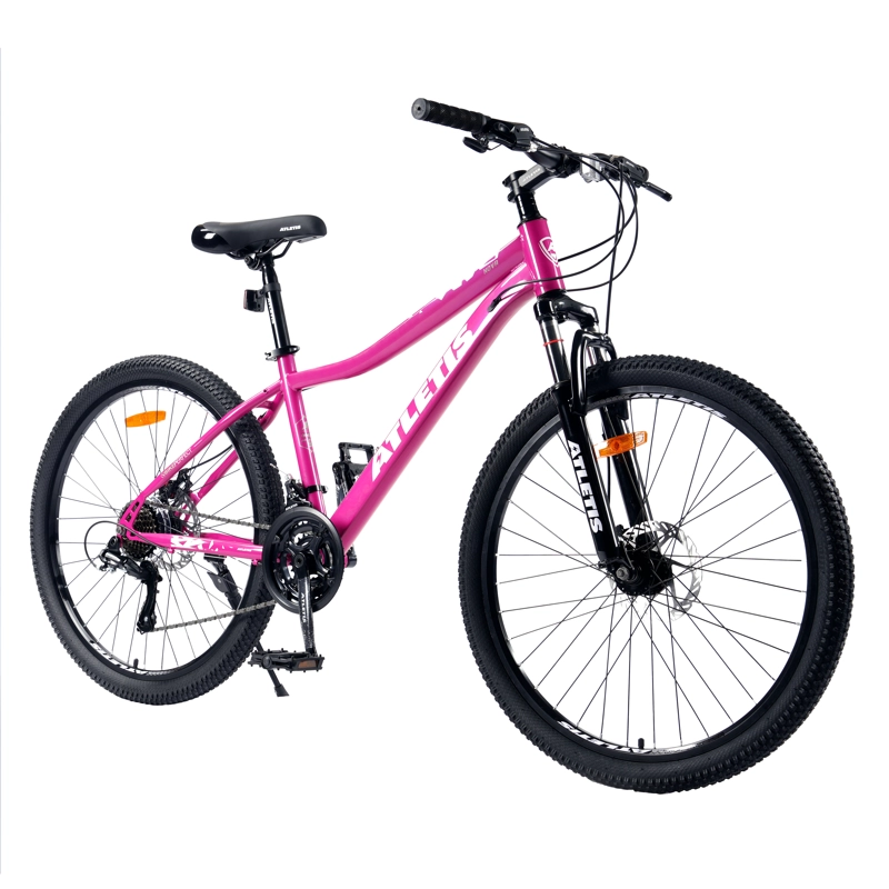 BICICLETA MOUNTAIN BIKE NOVA ARO 26 - 2