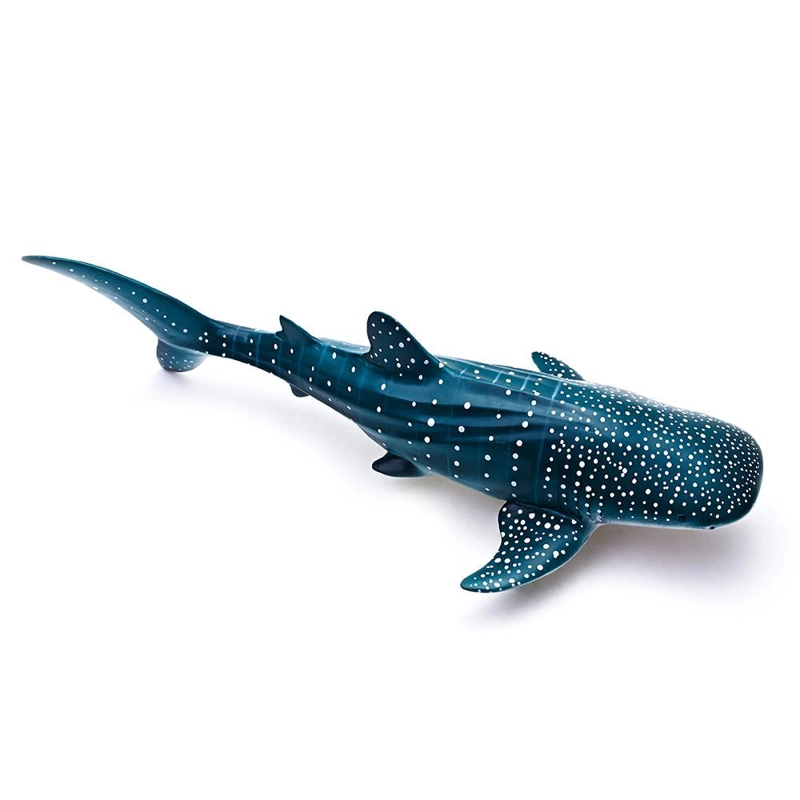 BALLENA RHINCODON TYPUS RECUR - 2