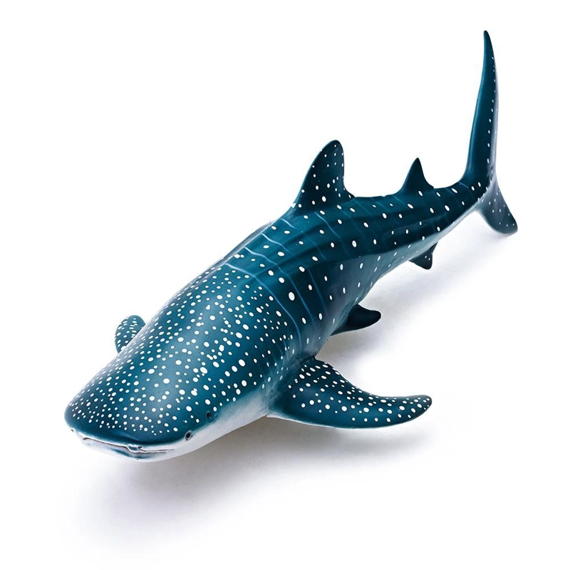 BALLENA RHINCODON TYPUS RECUR - 3