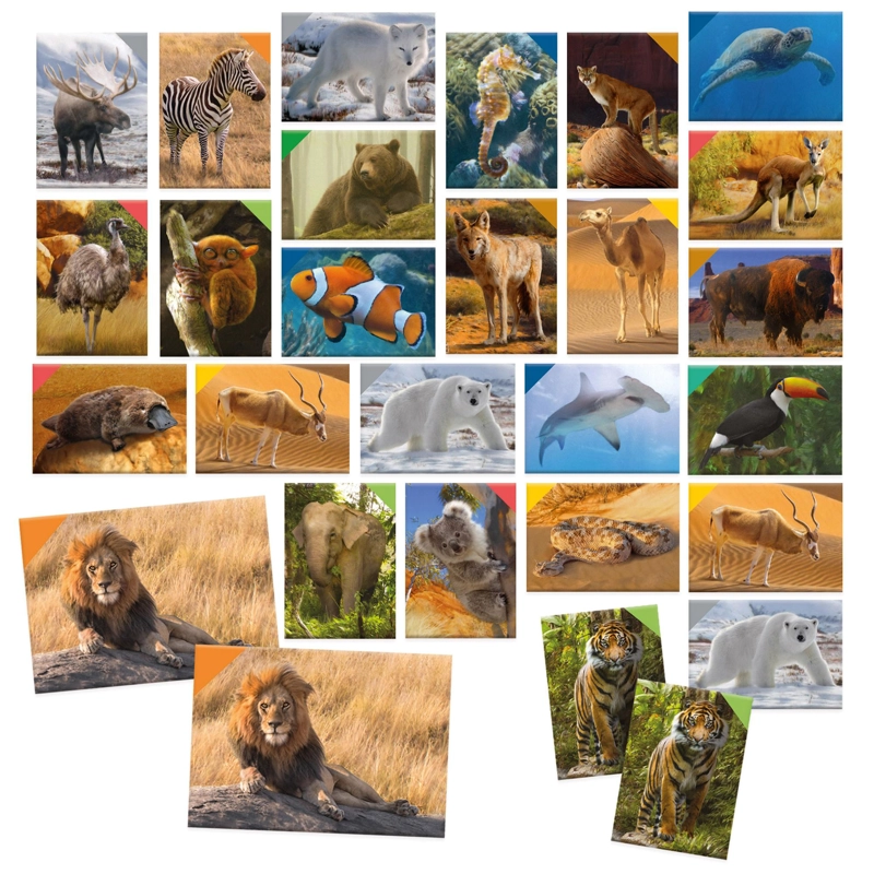 MEMORICE ANIMALES 108 PIEZAS HEADU - 2