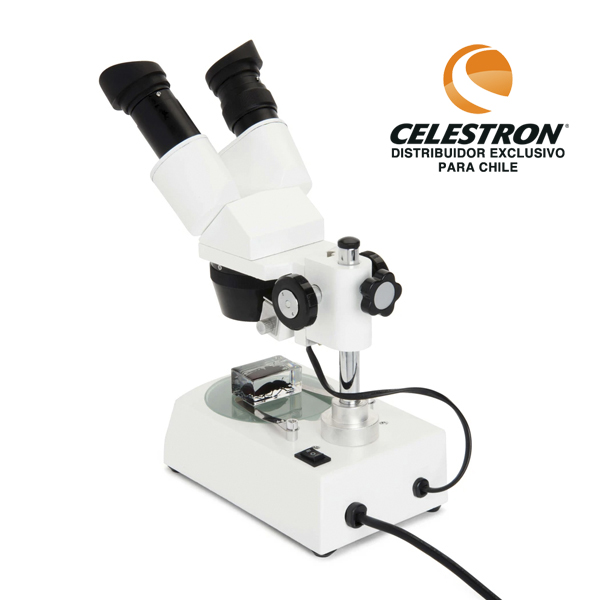 MICROSCOPIO LUPA ESTEREOSCÓPICA CELESTRON LABS S10-60 - 2