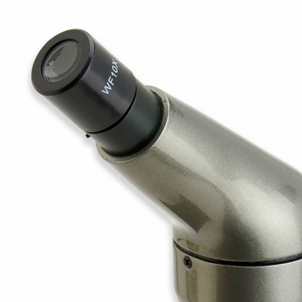MICROSCOPIO CARSON MS-040 40X-400X - 3