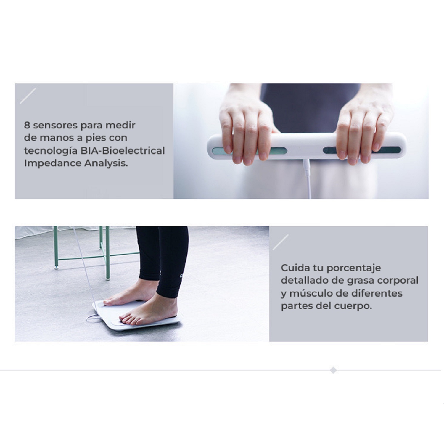 BALANZA DIGITAL INTELIGENTE MEDIDOR DE GRASA B3 - 7