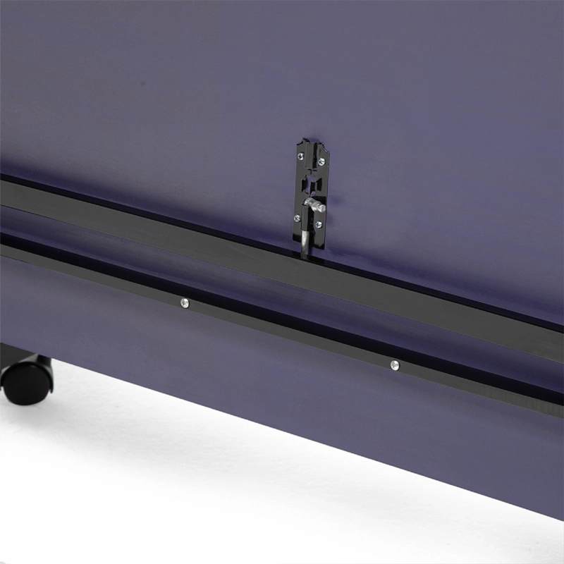 MESA DE PING PONG FRONTON M4 PRO | Azul - 2