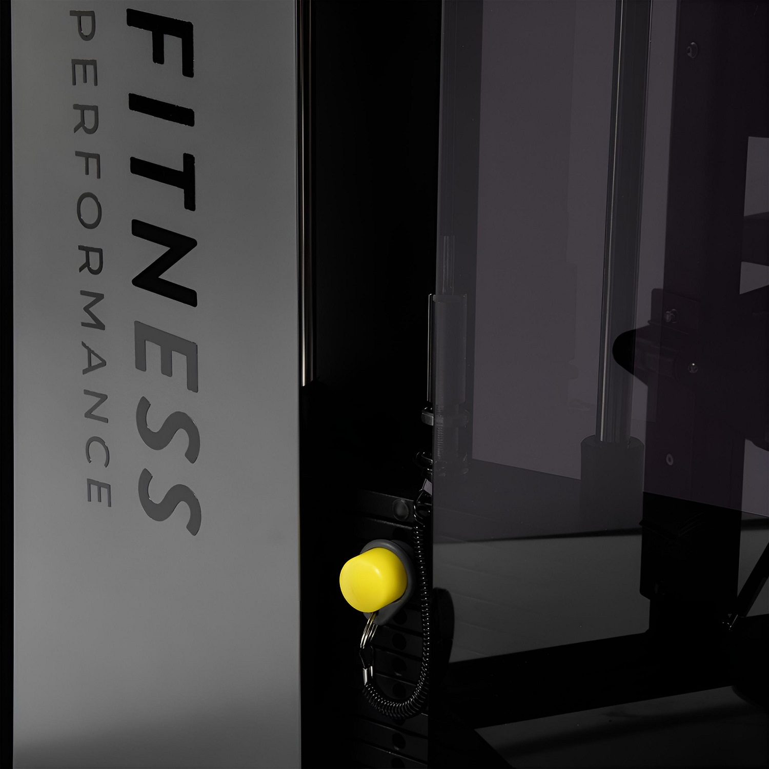REAR DELT/PEC FLY - 2