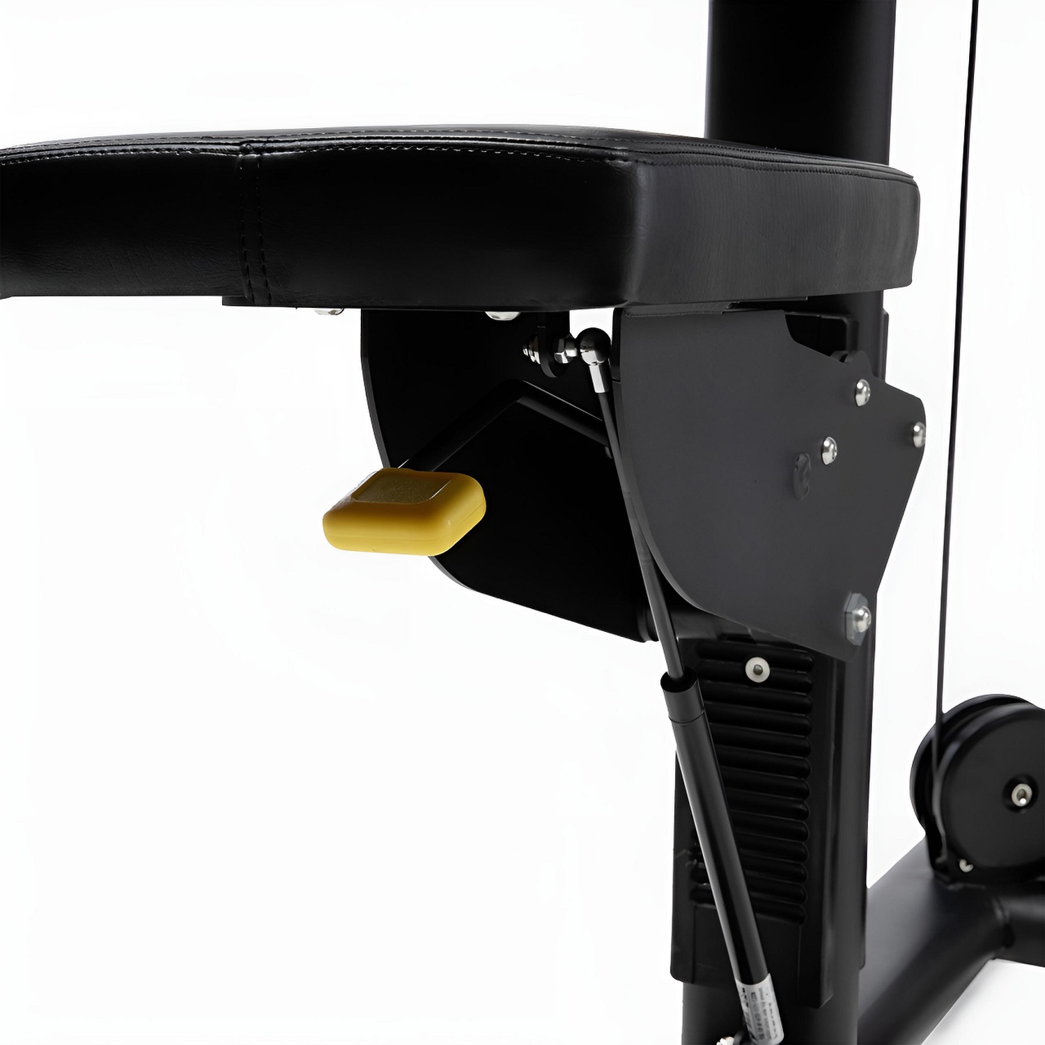 REAR DELT/PEC FLY - 5