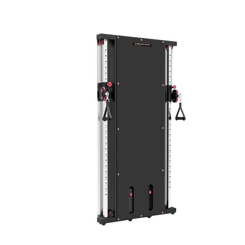 WALL MOUNTED MULTI FUNCTIONAL TRAINER - 2