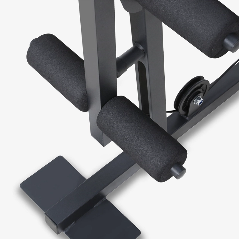HOME GYM P600 PRO 65 KG - 6