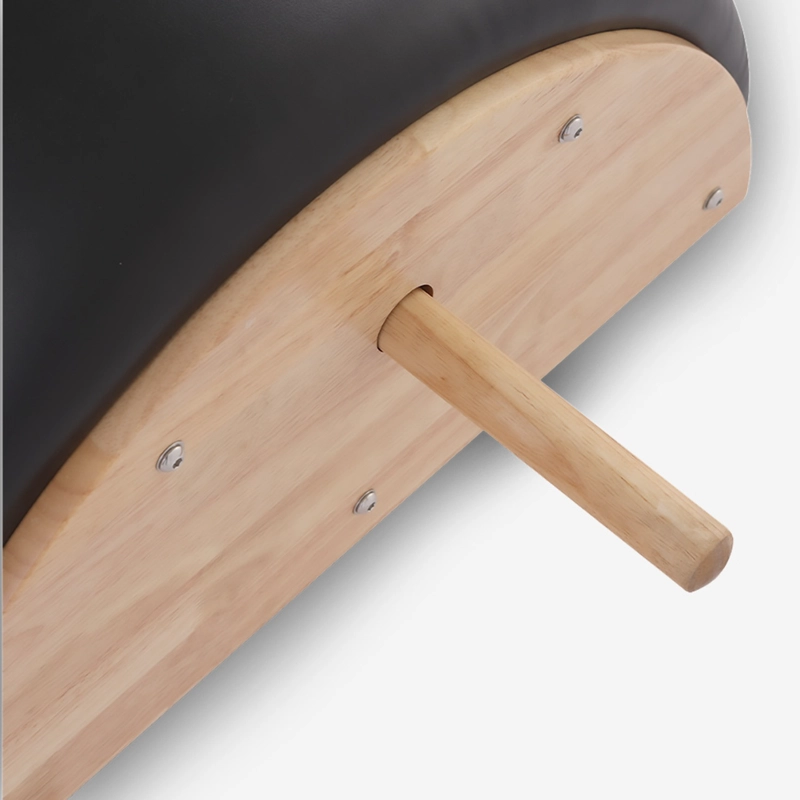 CORRECTOR ESPINAL SPINE PILATES - 2