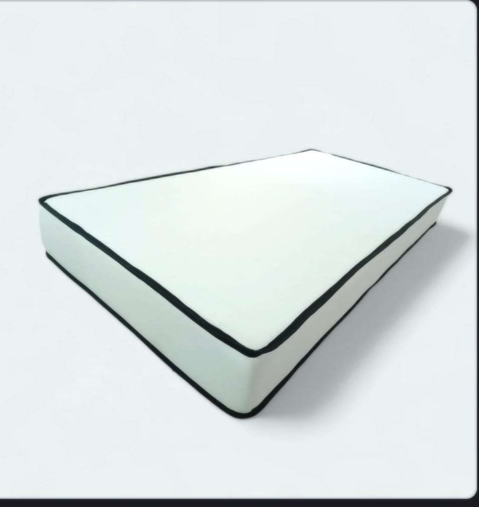 COLCHON  COLCHONETA ESPUMA 1PZA  VENECIA  D15X12CM - 1