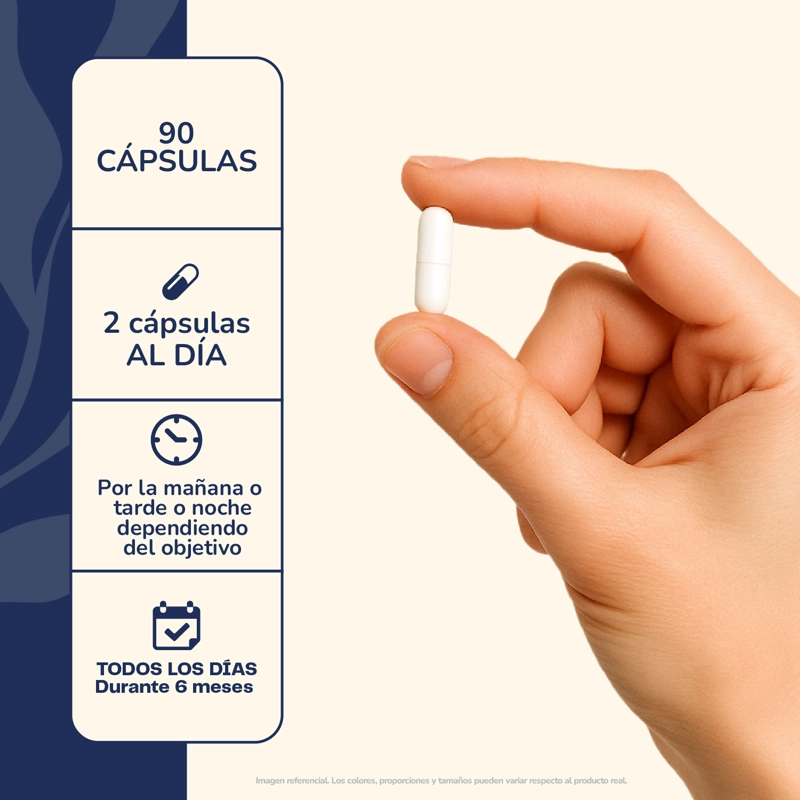CALCIO + MAGNESIO + VITAMINA D 90 CAPSULAS 550 MG - 4