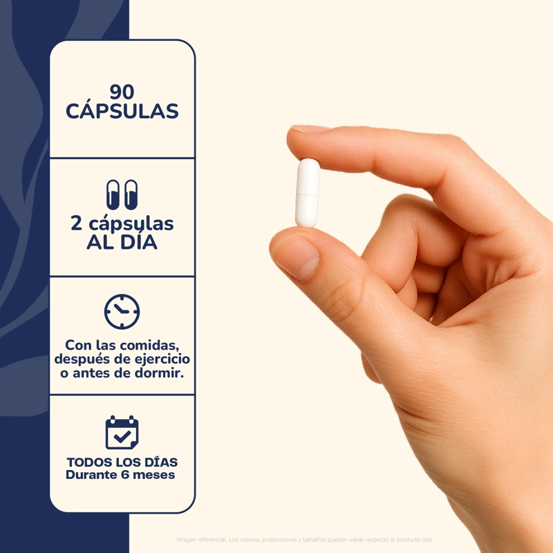 CLORURO DE MAGNESIO 90 CAPSULAS 500 MG - 4