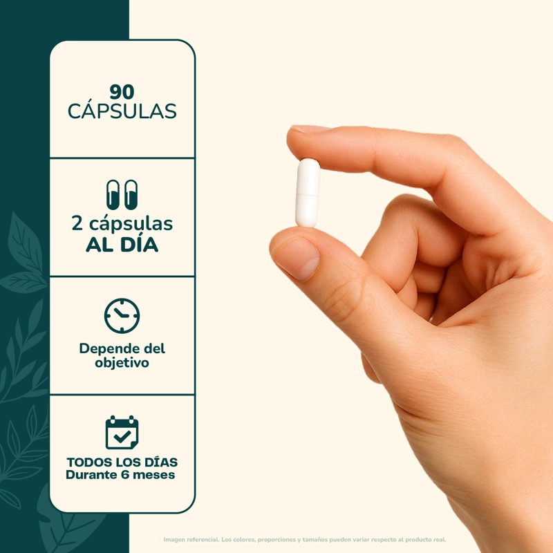 VINAGRE DE MANZANA 90 CAPSULAS 345 MG - 4