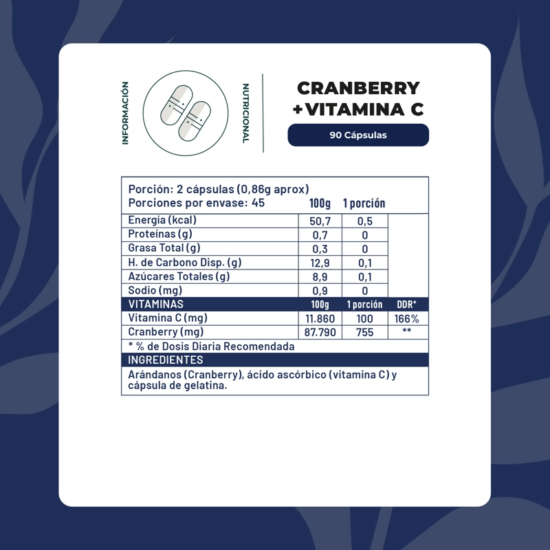 CRANBERRY + VITAMINA C 90 CAPSULAS 500 MG - 2