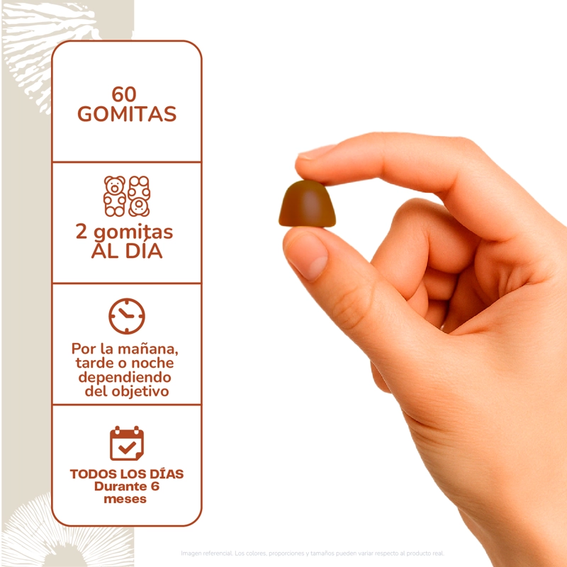 SHIITAKE HONGO - 60 GOMITAS - 4