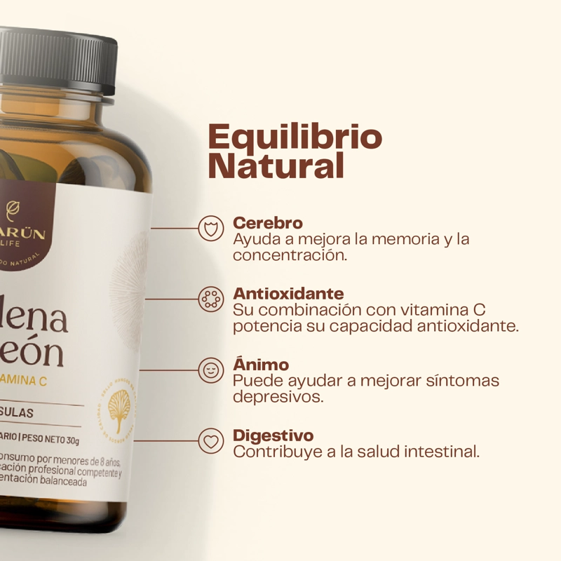 MELENA DE LEON HONGO 500MG - 60 CAPSULAS- MEMORIA - 3