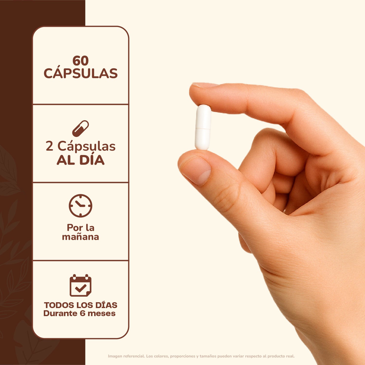 MELENA DE LEON HONGO 500MG - 60 CAPSULAS- MEMORIA - 4
