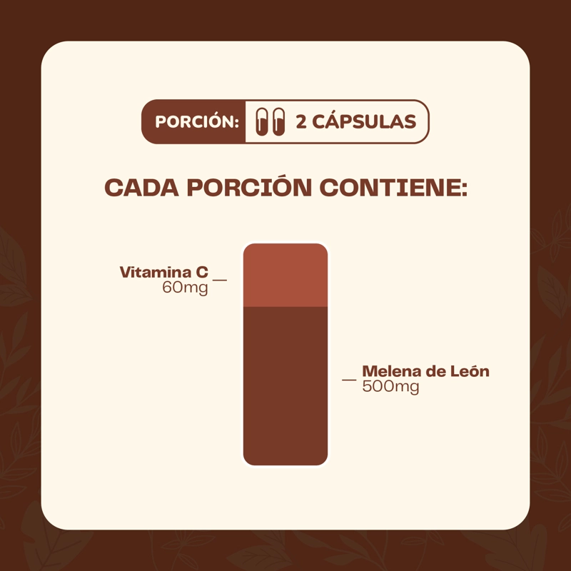 MELENA DE LEON HONGO 500MG - 60 CAPSULAS- MEMORIA - 5