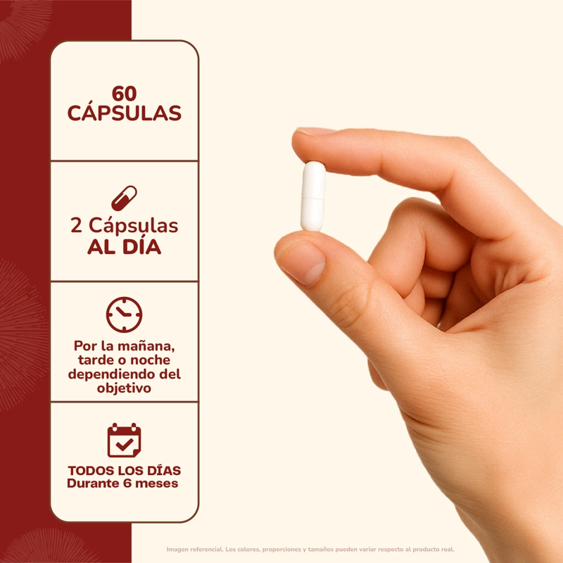 REISHI HONGO 500MG - 60 CAPSULAS - SISTEMA INMUNE - 4