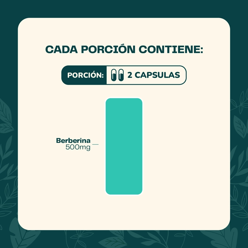 BERBERINA 60 CAPSULAS KARUN LIFE - 5