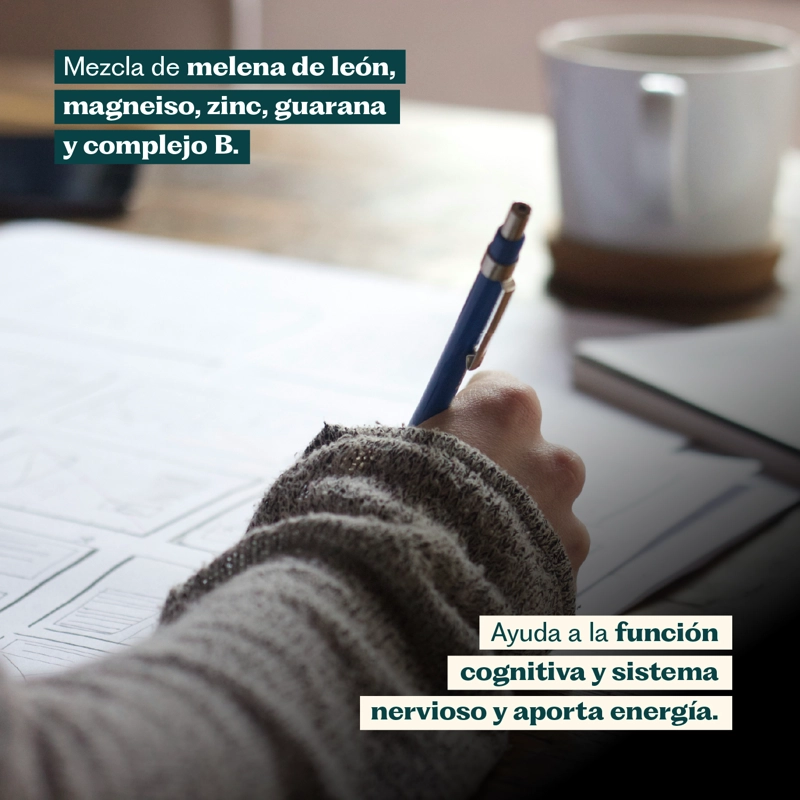FOCUS CLARIDAD MENTAL Y COGNITIVA 60 CAPSULAS KARUN LIFE - 6