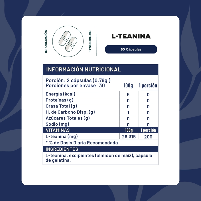 L- TEANINA 60 CAPSULAS KARUN LIFE - 2