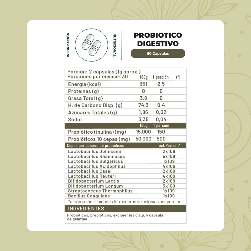 PROBIOTICO DIGESTIVO 60 CAPSULAS KARUN LIFE - 2