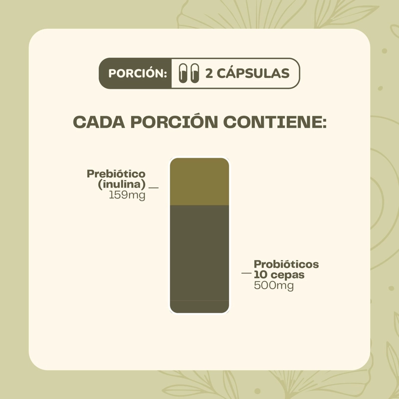 PROBIOTICO DIGESTIVO 60 CAPSULAS KARUN LIFE - 5