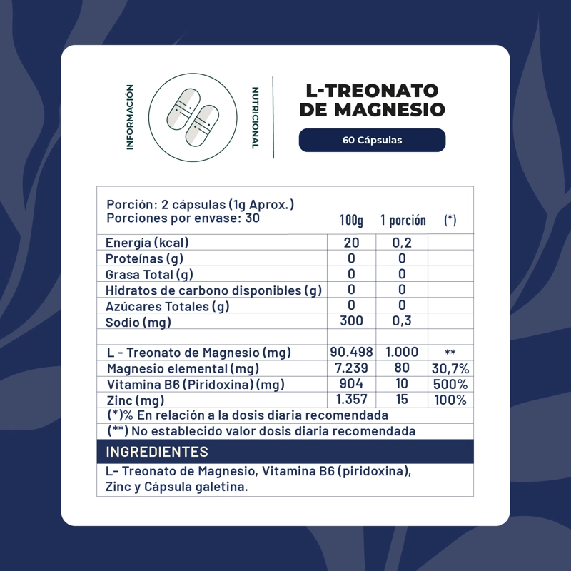 L TREONATO DE MAGNESIO 60 CAP KARUN LIFE - 3