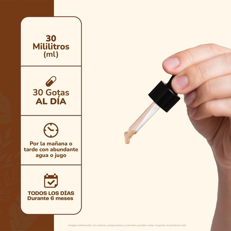 ASHWAGANDHA Y MELENA DE LEON CONCENTRADOS 60 ML KARUN LIFE - 4