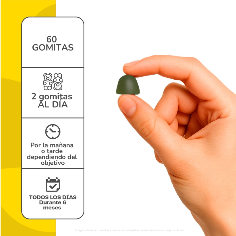 GOMITA ENERGY DRIVER 60 UN KARUN LIFE - 4