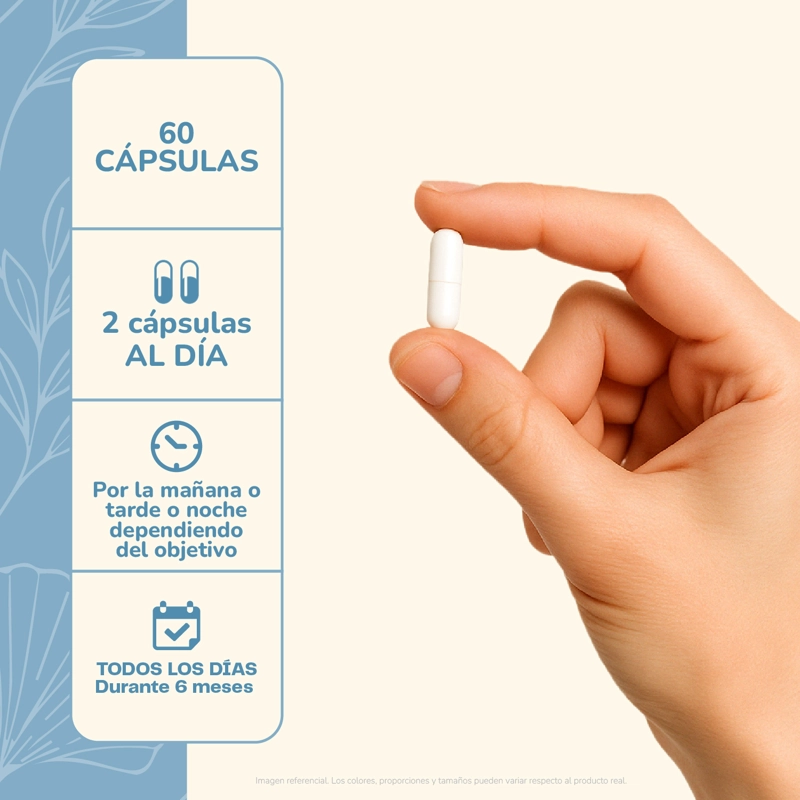 PRIBIOTICO ULTRA 60 CAP KARUN LIFE - 4